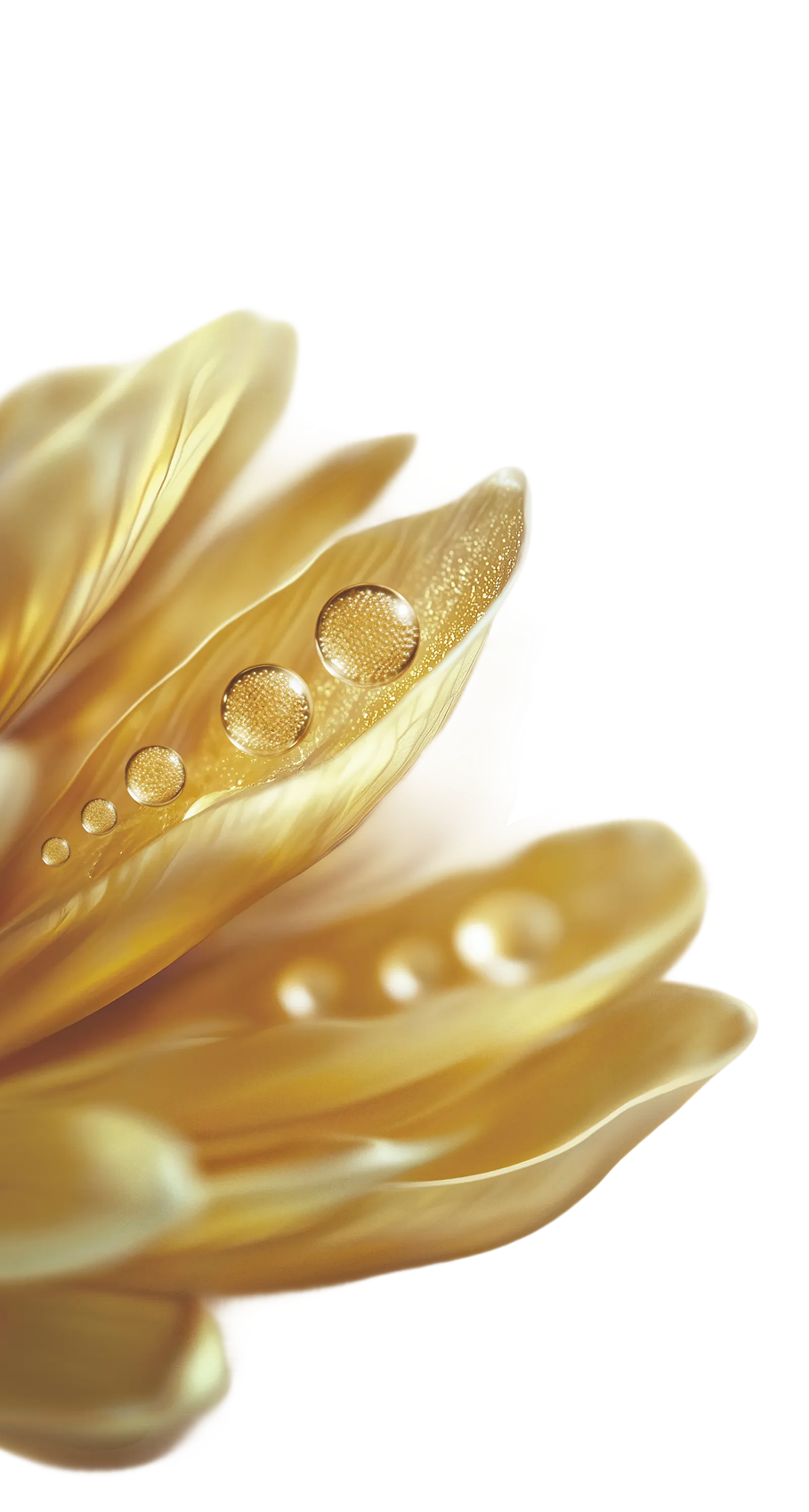 Gouden Duizendblad Bloem