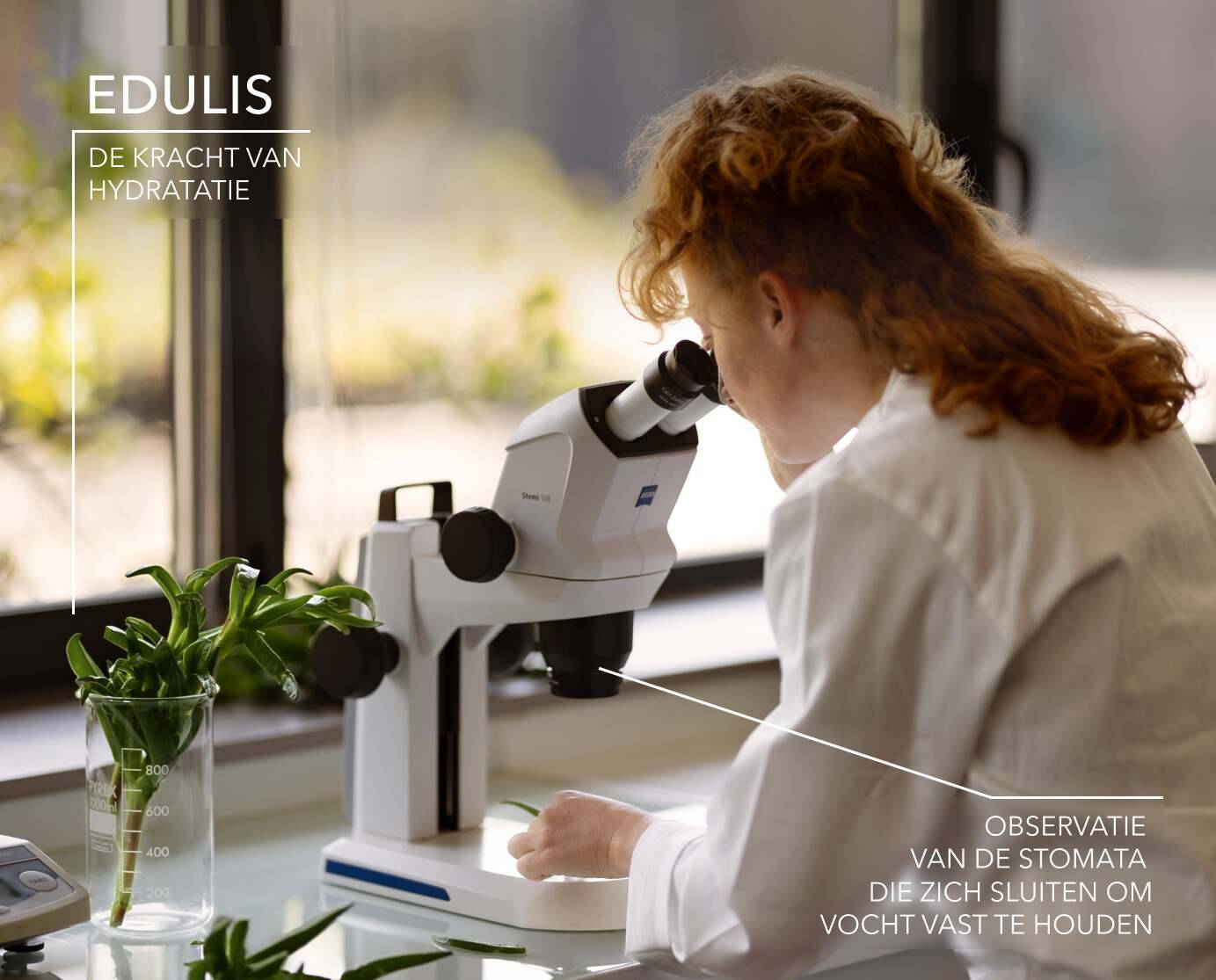 Vrouw die edulis onder een microscoop bekijkt