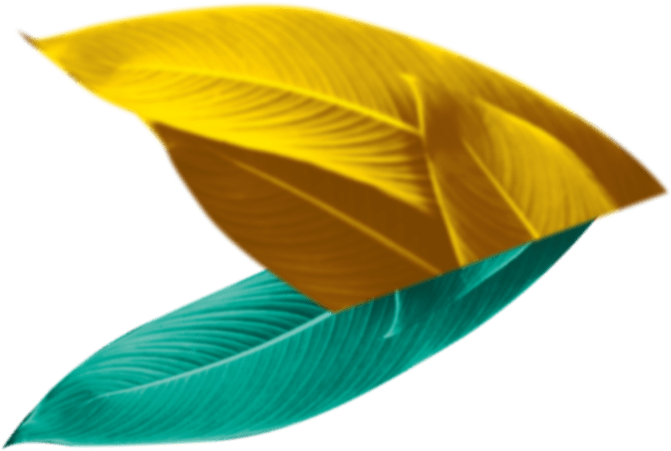 Feuilles au second plan côté droit