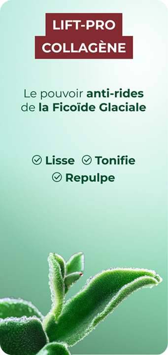 lift pro collagene ficoide glaciale