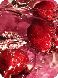 actif végétal d'açai par yves rocher