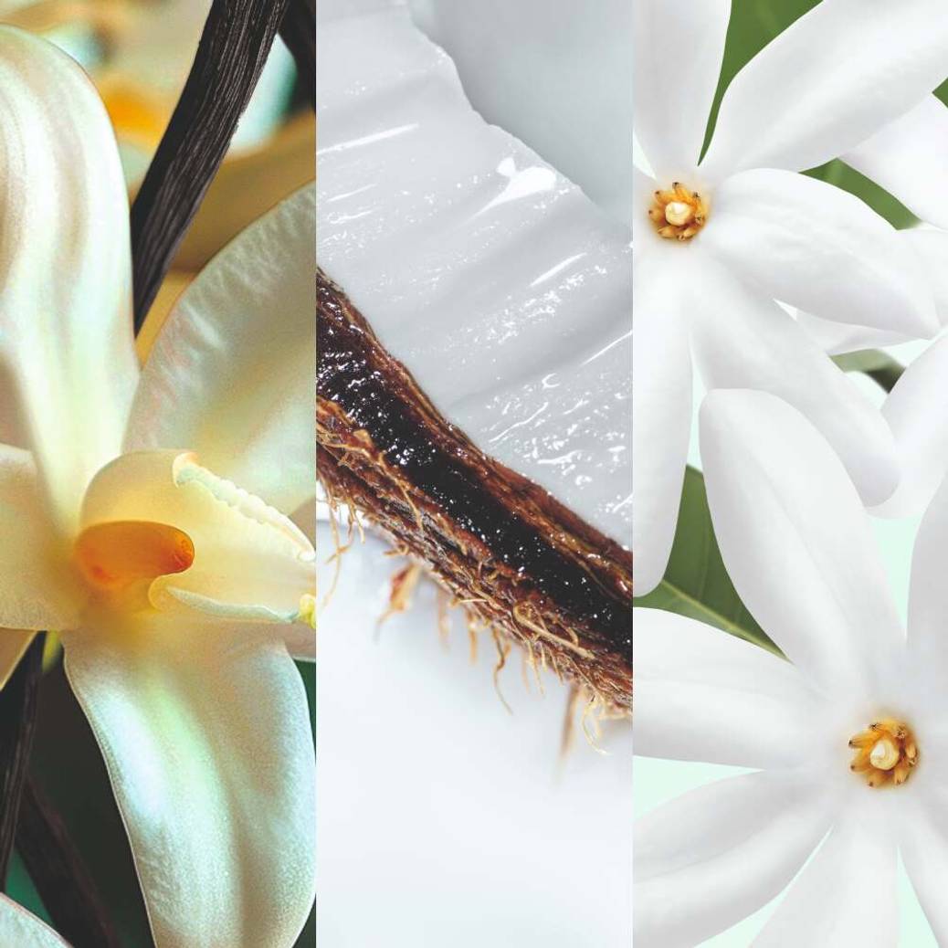 Trio Handcrèmes – Kokos, Vanille, Monoï