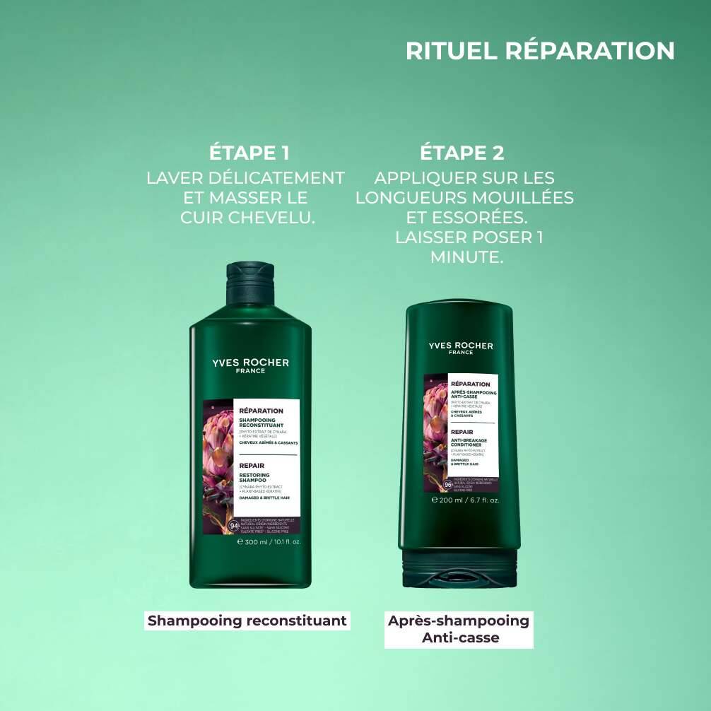 Lot Capillaire - Réparation
