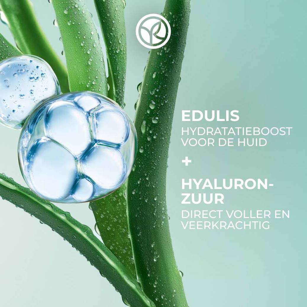 Hydra Gezichtsset