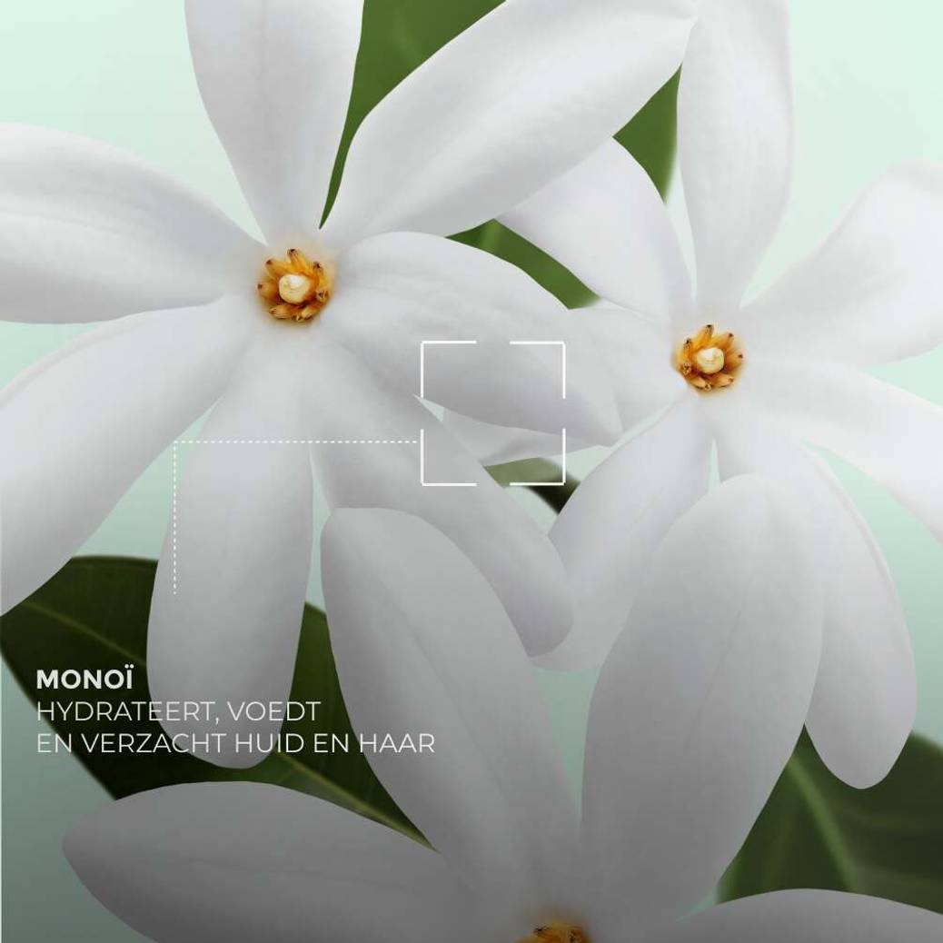Monoï Essentieel Set
