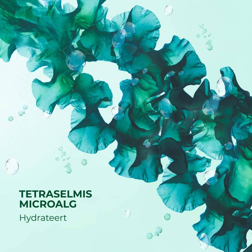 Verfrissende reinigingsgel